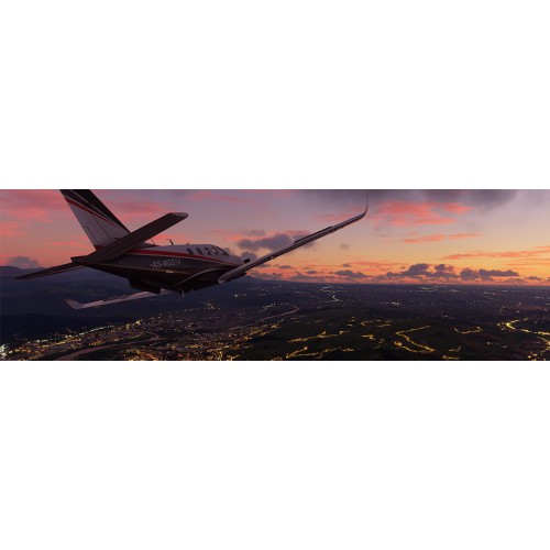 Microsoft Flight Simulator