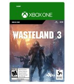 Wasteland 3