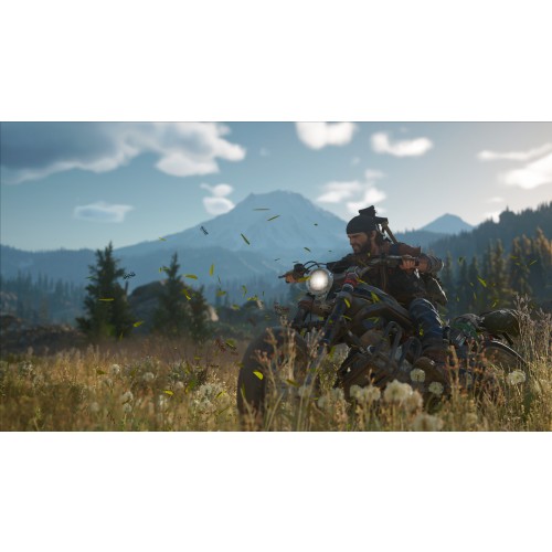 Days Gone