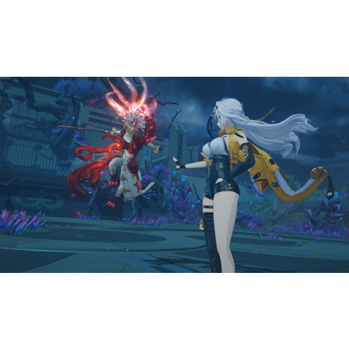 Zenless Zone Zero Collector's Edition