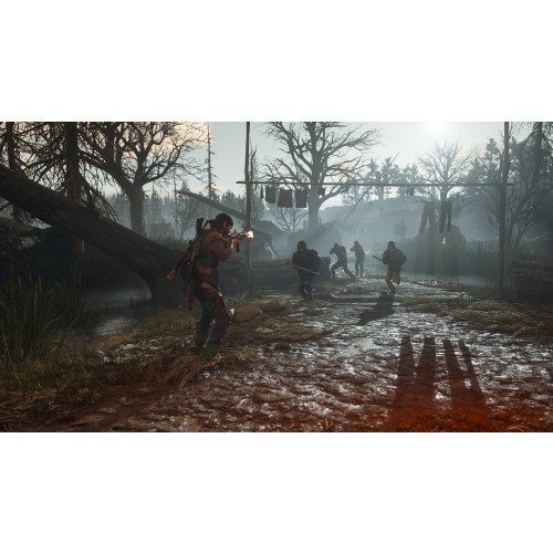Days Gone