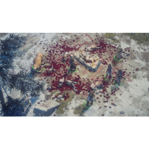 Pathfinder: Wrath of the Righteous Limited Ed.