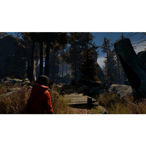 Through the Woods: Digital Collector's Edition