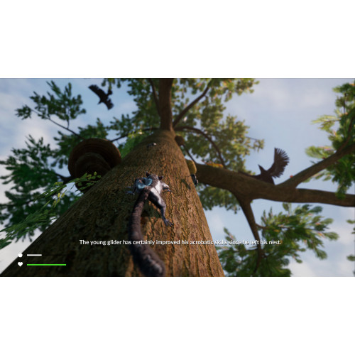 Away: The Survival Series
