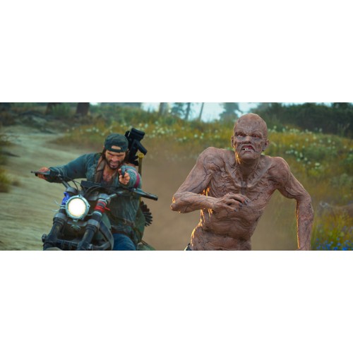 Days Gone