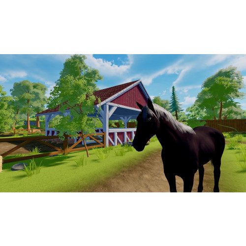 Sophia's Animal Clinic