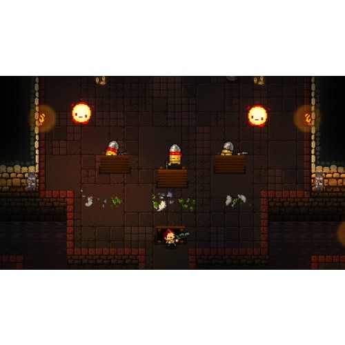Enter the Gungeon