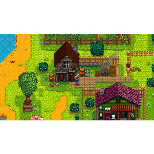 Stardew Valley