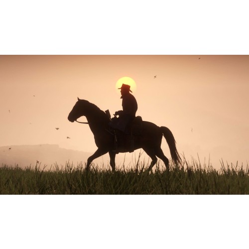 Red Dead Redemption 2 Green Gift