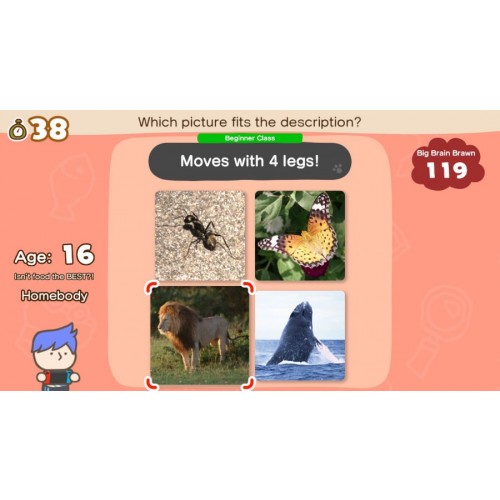 Big Brain Academy: Brain vs Brain