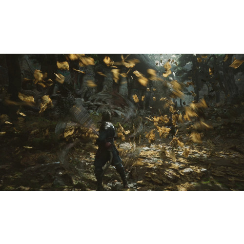 Black Myth: Wukong (Deluxe Edition)