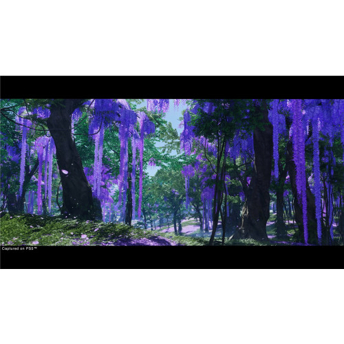 Ghost of Tsushima (Director’s Cut)