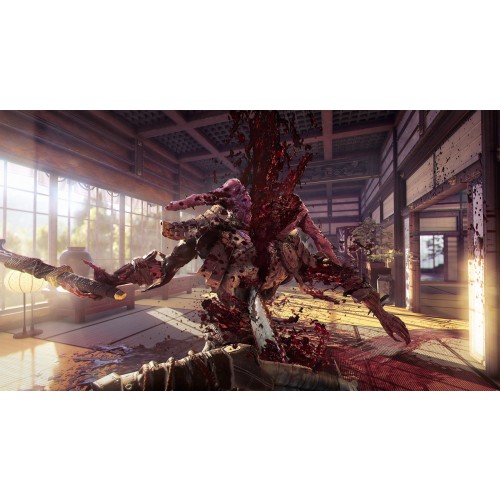 Shadow Warrior 2