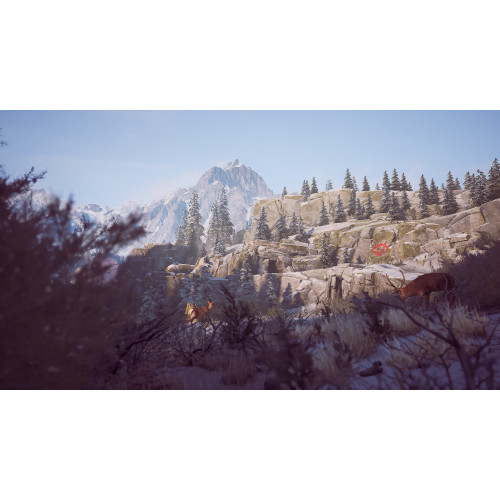 Winter Survival
