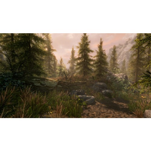 The Elder Scrolls V: Skyrim Special Edition