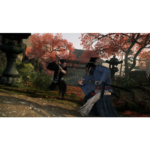 Rise of the Ronin