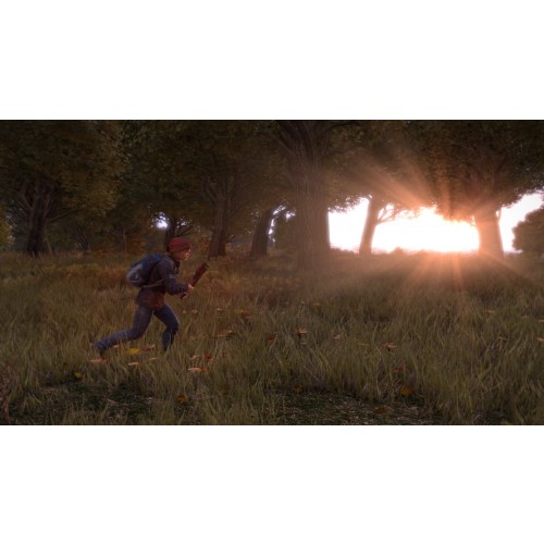 DayZ