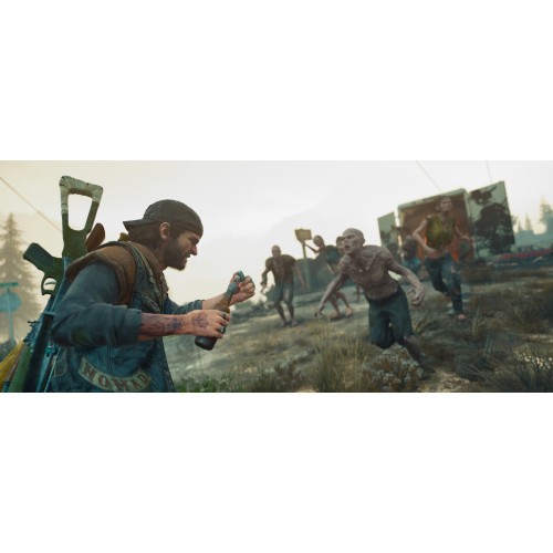 Days Gone