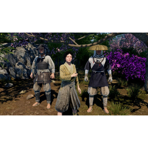 Sengoku Dynasty Ultimate Edition