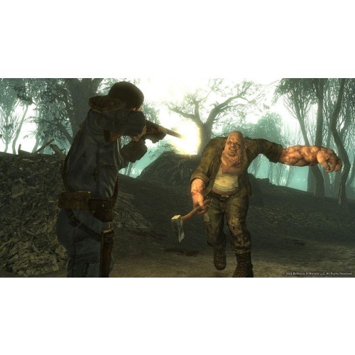 Fallout 3 Point Lookout