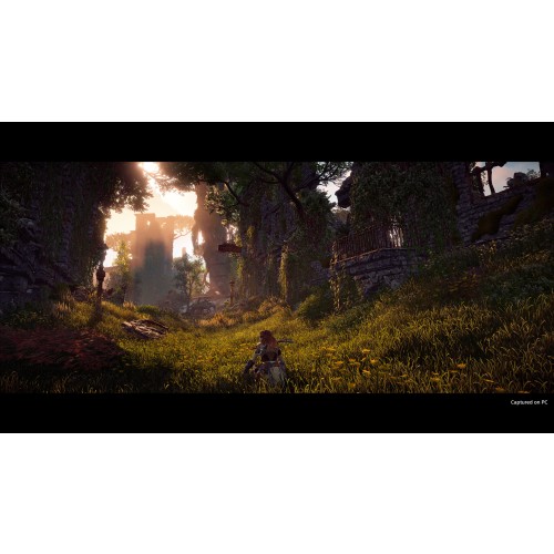 Horizon Zero Dawn: Complete Edition
