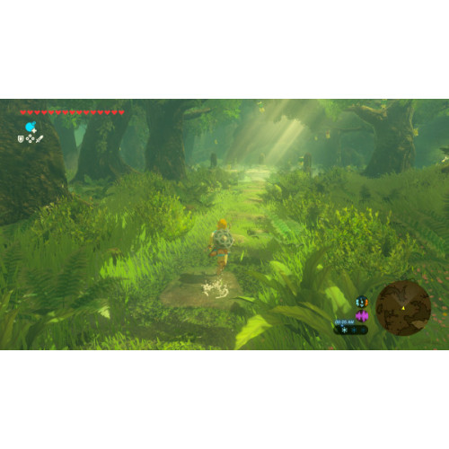 The Legend of Zelda: Breath of the Wild