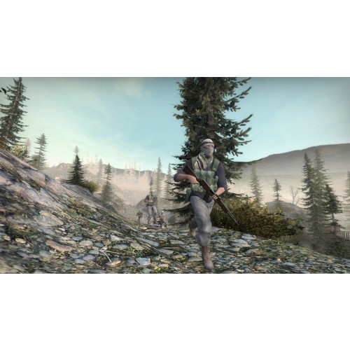 Insurgency