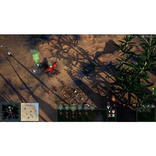 Empires of the Undergrowth
