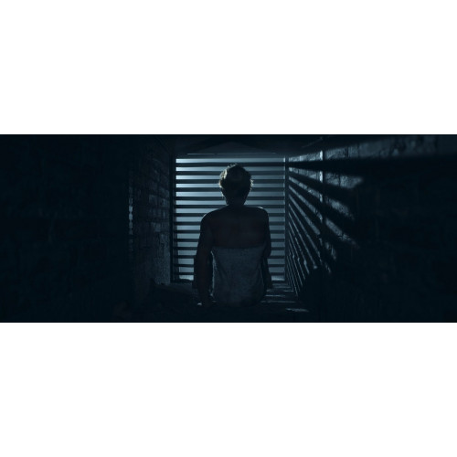 Until Dawn