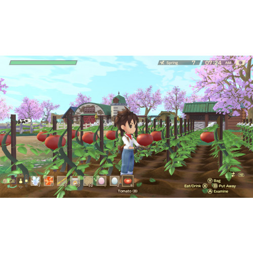 Story of Seasons: A Wonderful Life (Limited Edition)