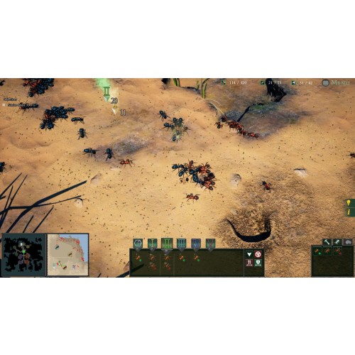Empires of the Undergrowth