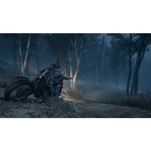 Days Gone