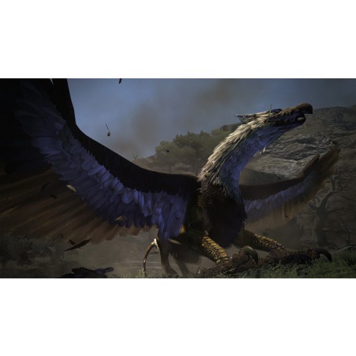 Dragons Dogma Dark Arisen